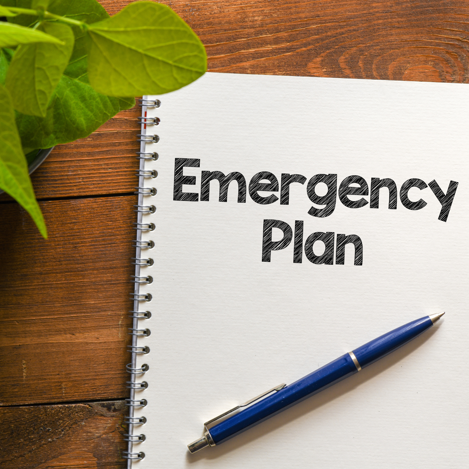CAMS Assists Community in Formulating Emergency Preparedness Plan
